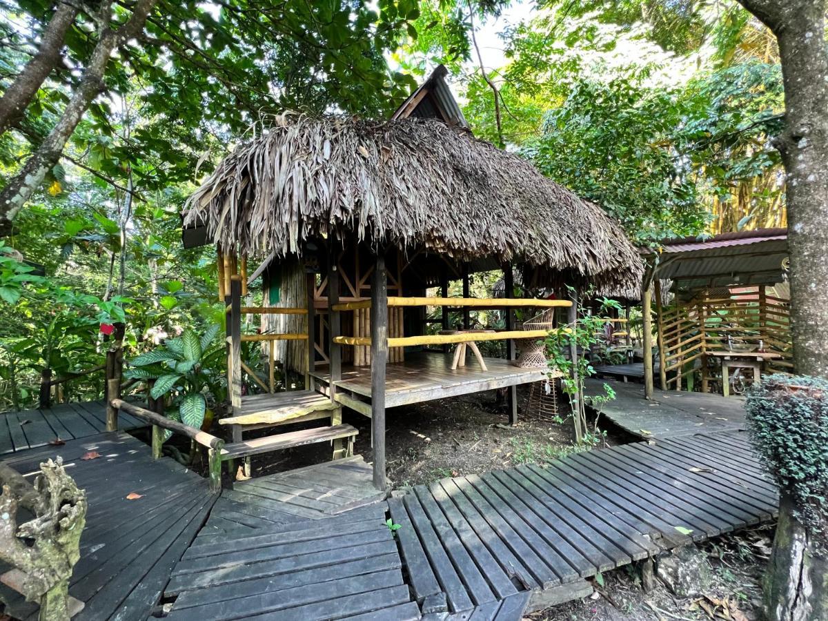 Cabanas Bambutan Паленке Екстер'єр фото