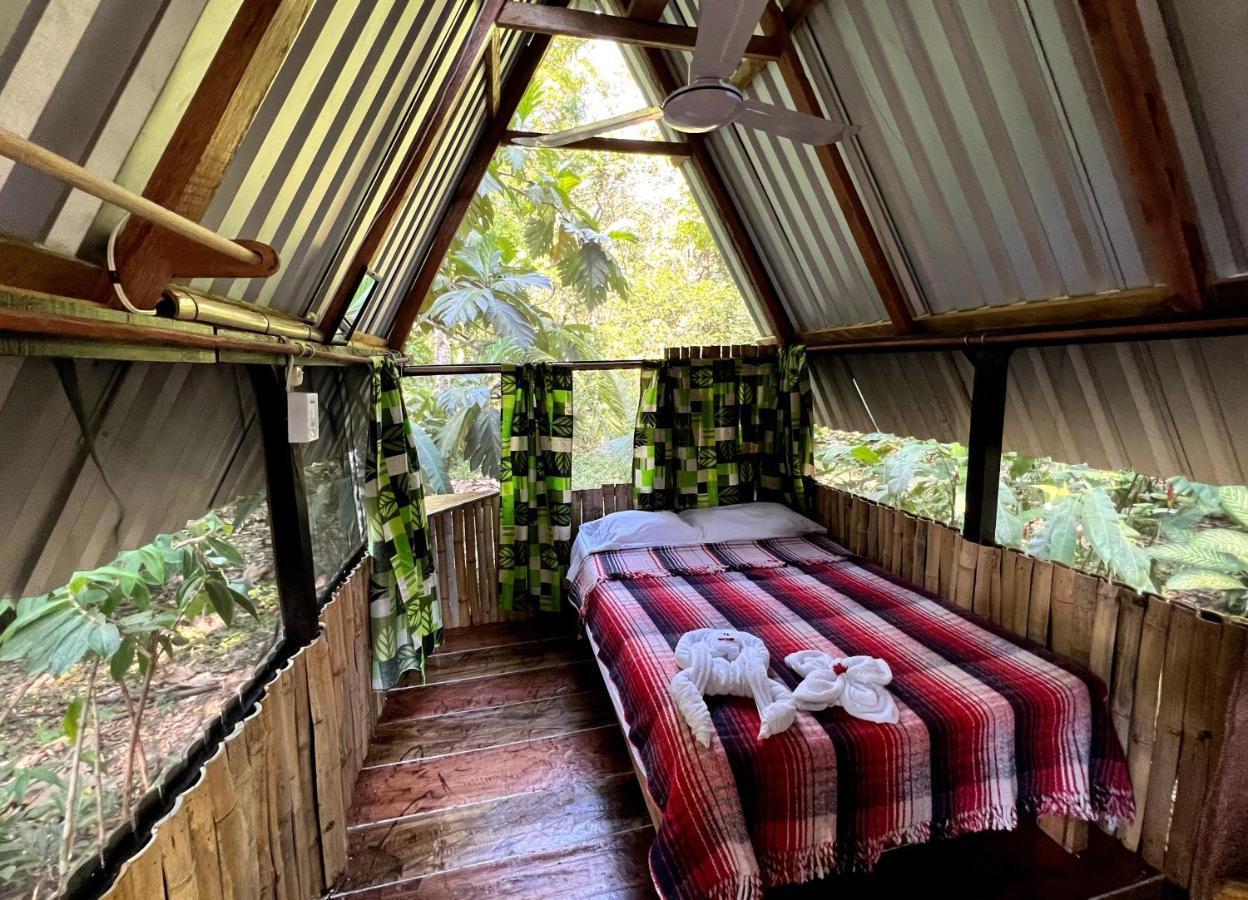 Cabanas Bambutan Паленке Екстер'єр фото